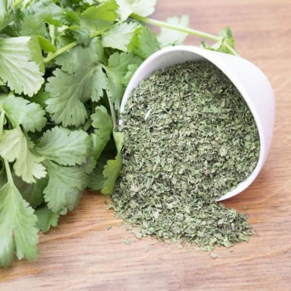 CORIANDER POWDER